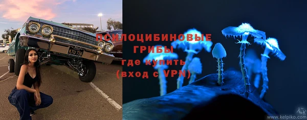 спиды Алзамай