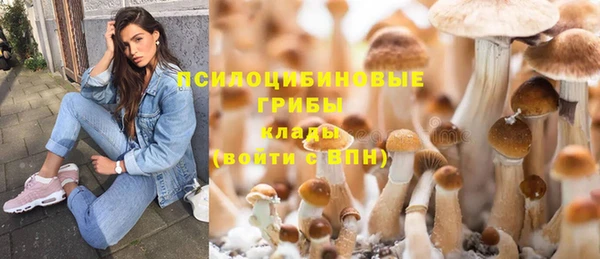 2c-b Абинск