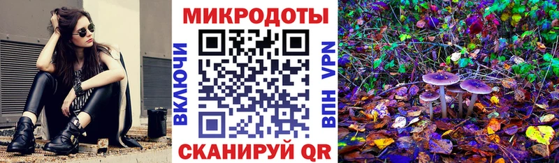 Псилоцибиновые грибы мицелий  Псков 